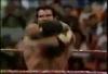 Razor Ramon