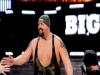 Big Show2 5