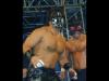 The Great Muta