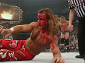 Shawn Michaels (11)