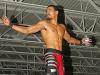 AR Fox 8