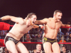 reDragon 7